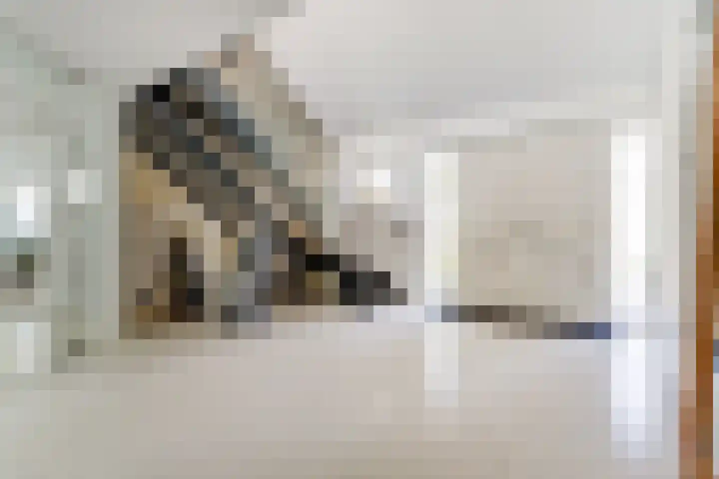 Floresstraat 15 Eindhoven thumbnail 27