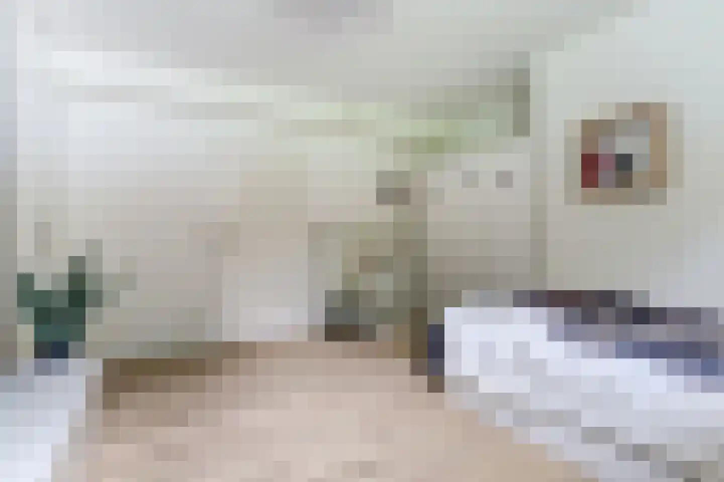 Floresstraat 15 Eindhoven thumbnail 34