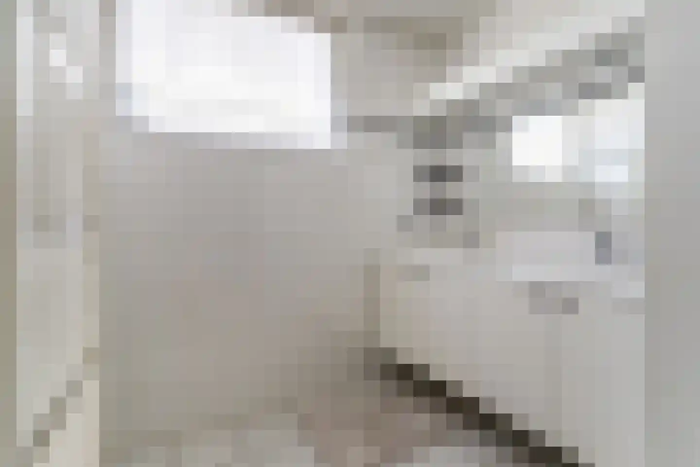 Floresstraat 15 Eindhoven thumbnail 61