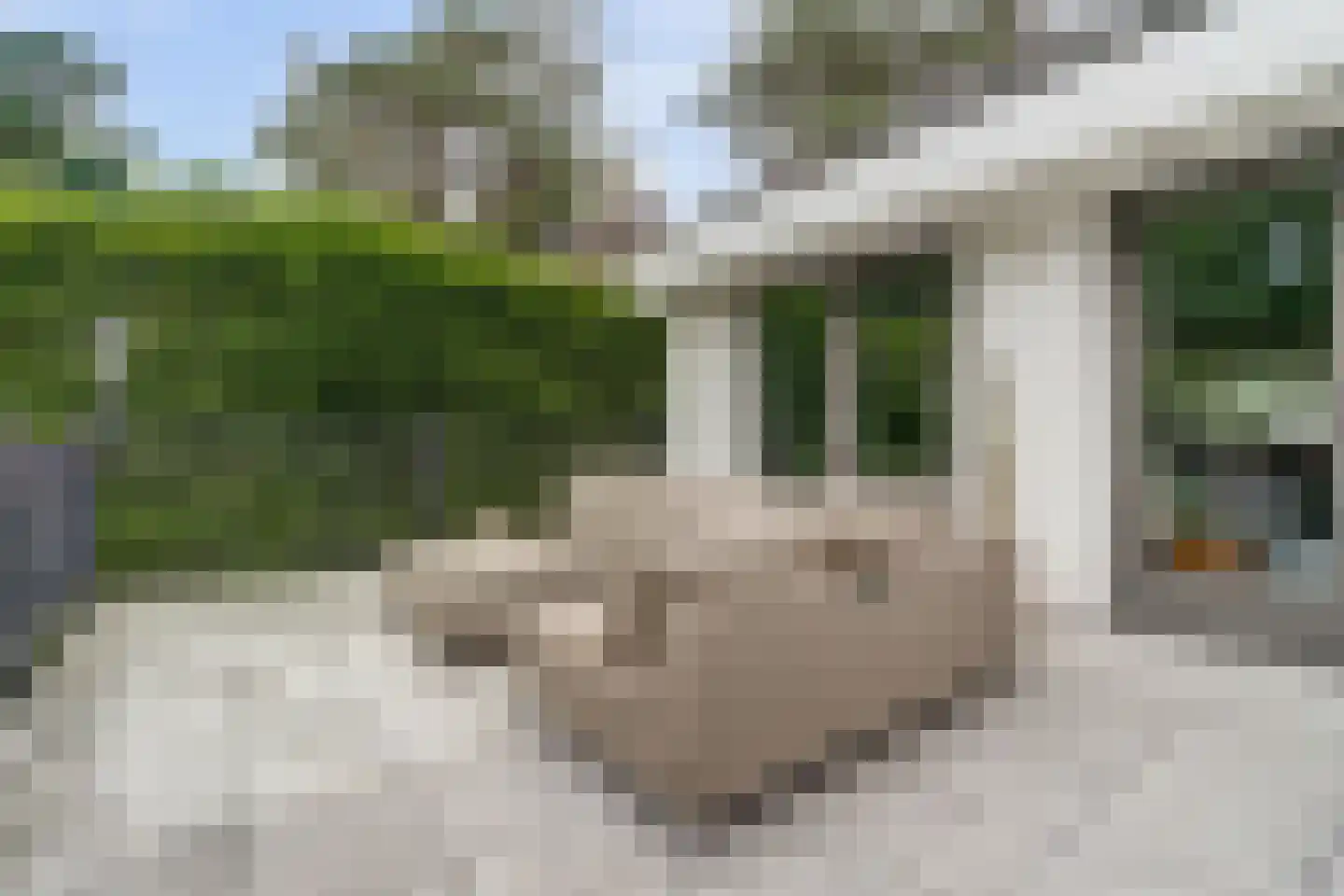 Floresstraat 15 Eindhoven thumbnail 67