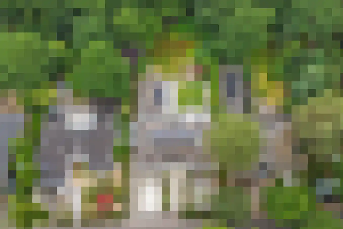 Floresstraat 15 Eindhoven thumbnail 79
