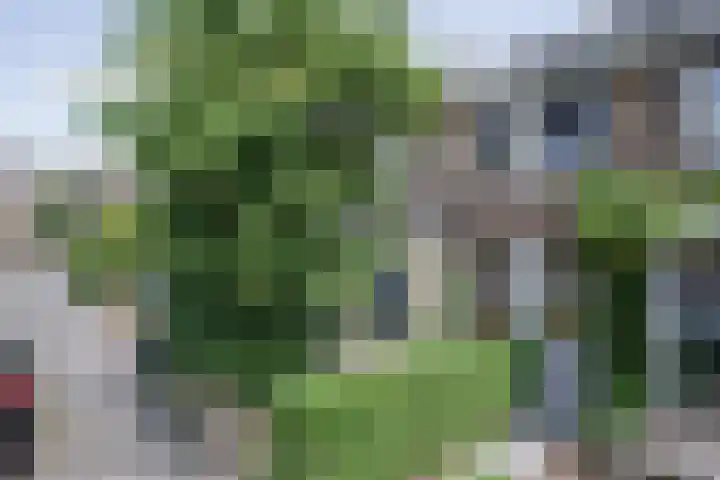 Floresstraat 20 in Delft