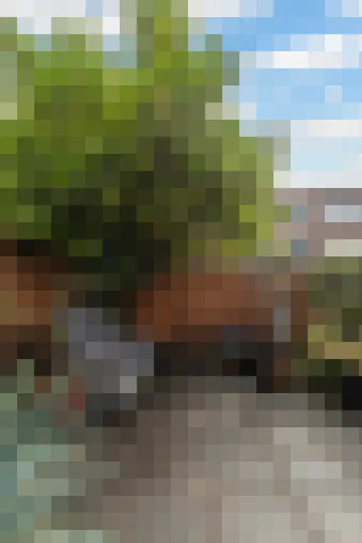 Floresstraat 22 Dordrecht thumbnail 36