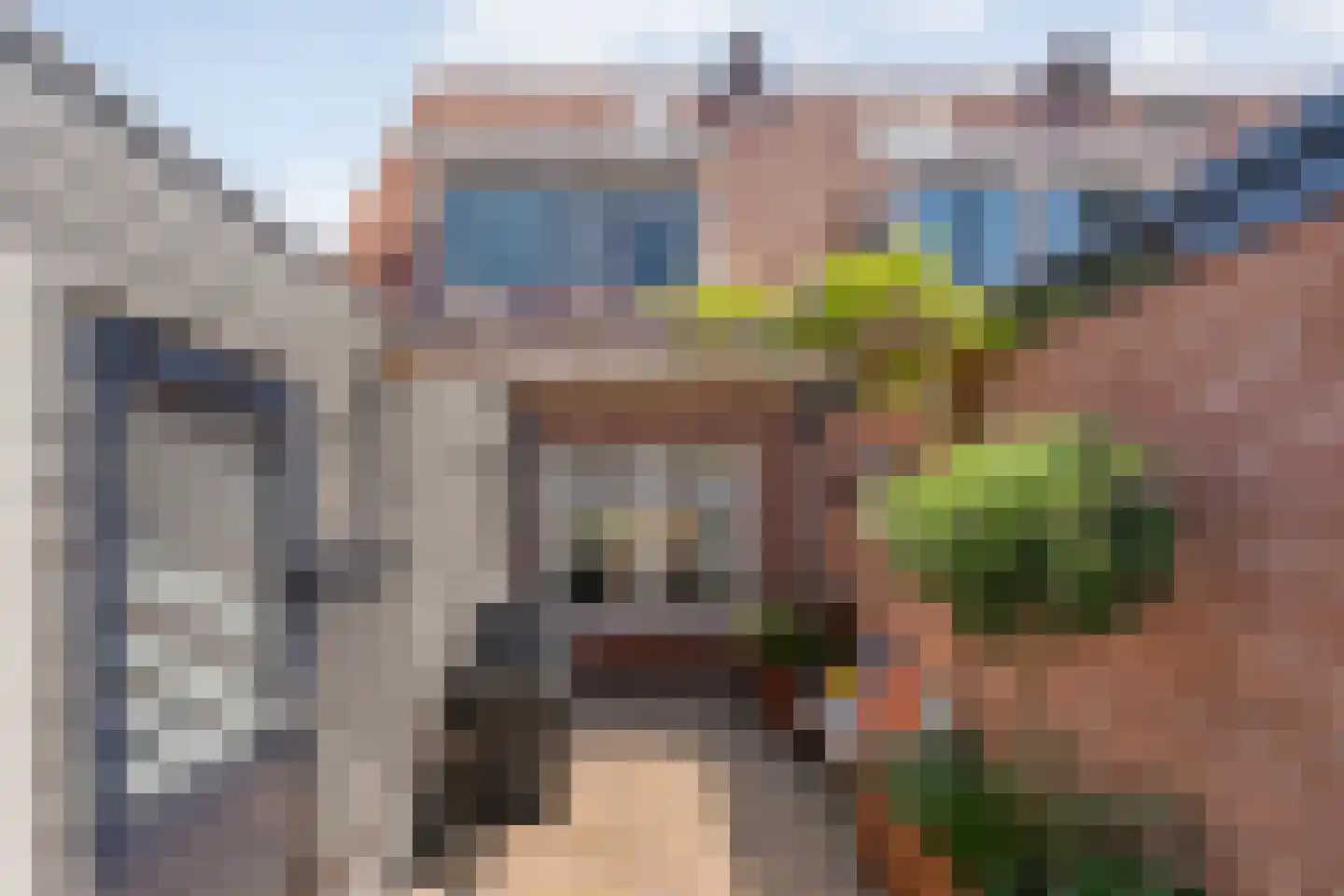 Floresstraat 23 Meppel thumbnail 37