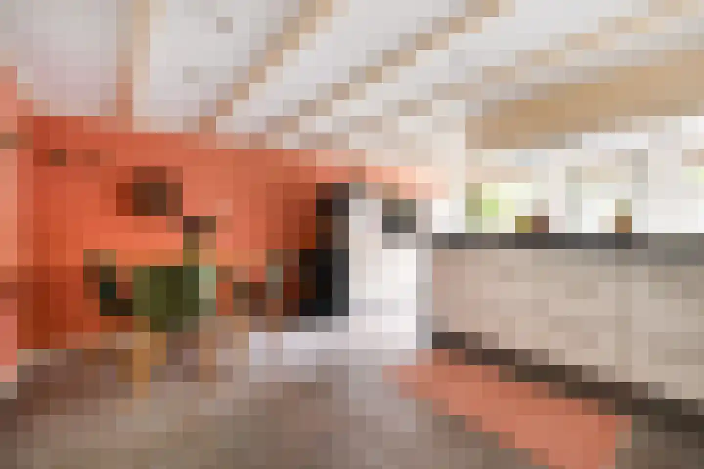 Floresstraat 36 Dordrecht thumbnail 20