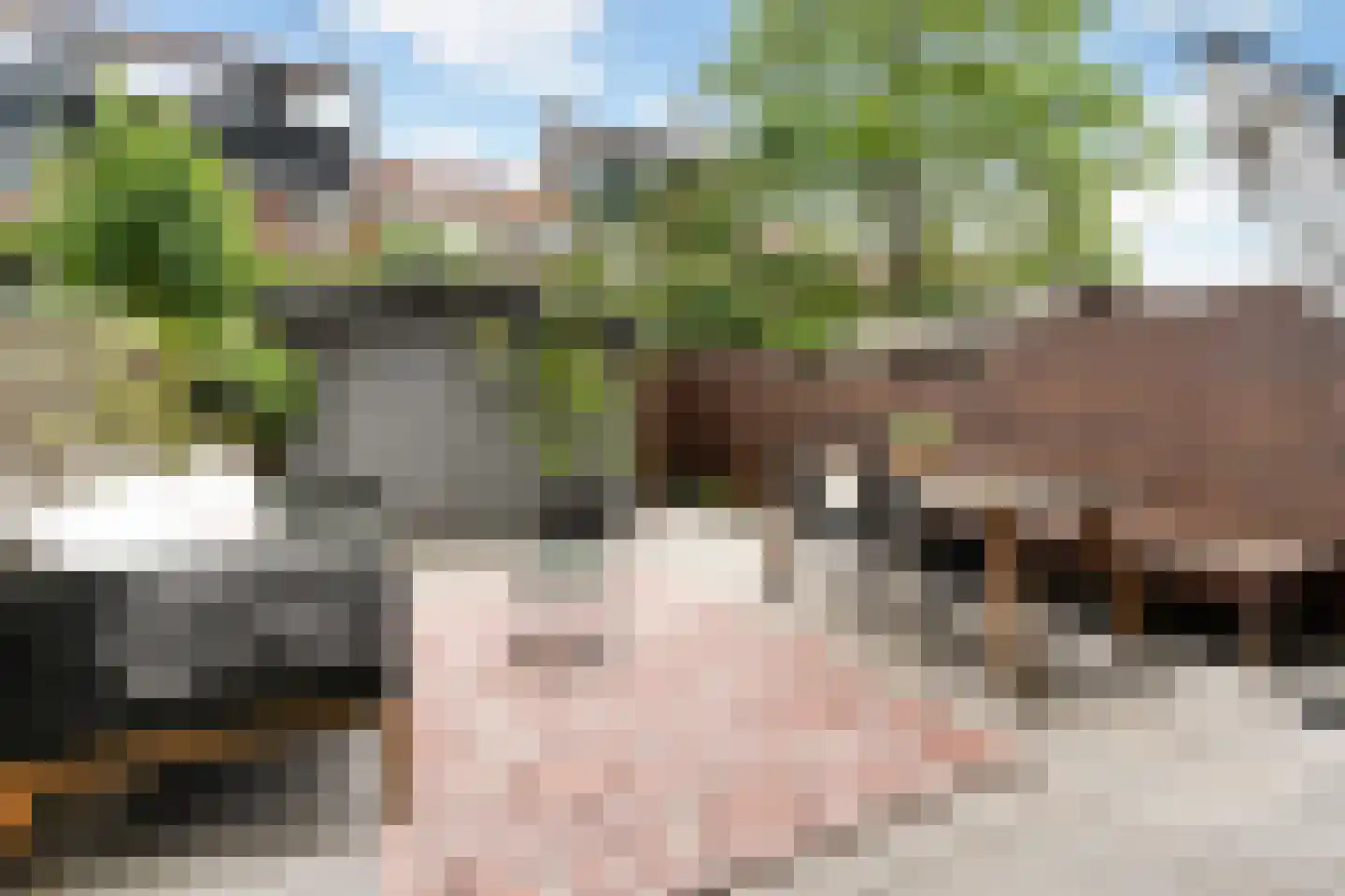 Floresstraat 36 Dordrecht thumbnail 38