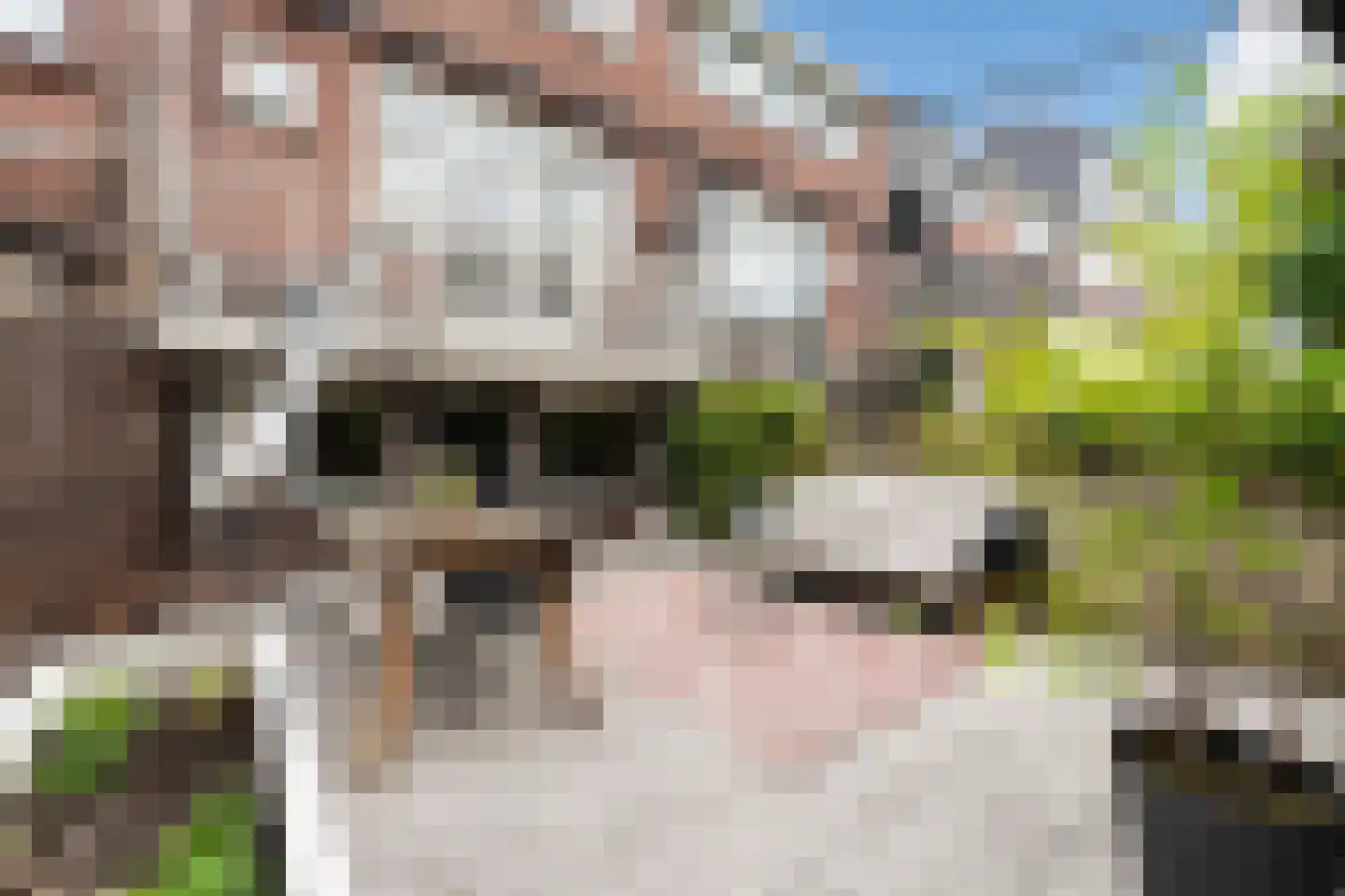 Floresstraat 36 Dordrecht thumbnail 4