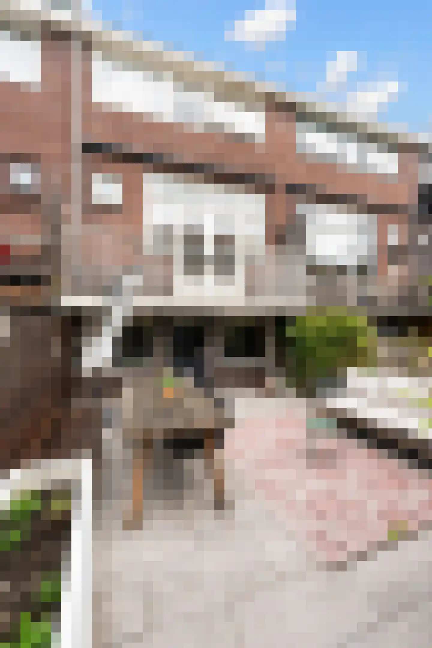 Floresstraat 36 Dordrecht thumbnail 41