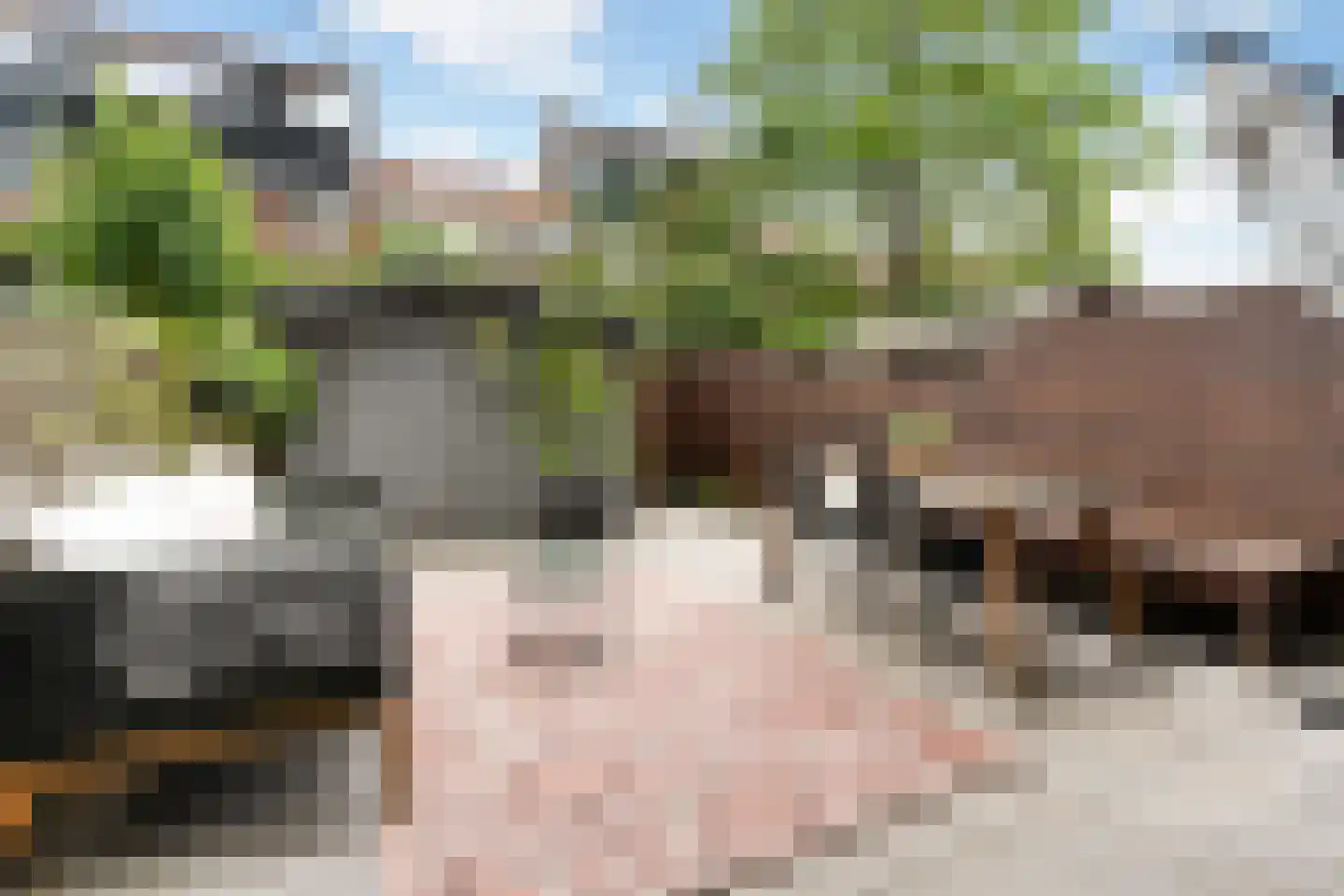 Floresstraat 36 Dordrecht thumbnail 5