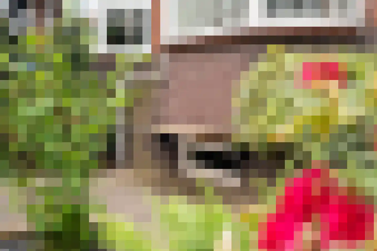 Floresstraat 36 Dordrecht thumbnail 7