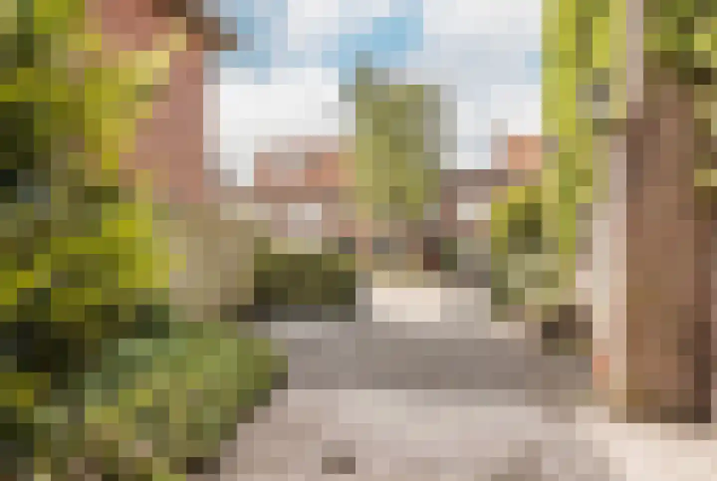 Floresstraat 47 Haarlem thumbnail 42