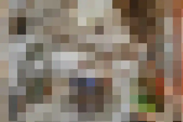 Floresstraat 6 Dordrecht thumbnail 33