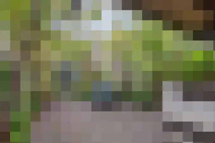 Floresstraat 6 Dordrecht thumbnail 36