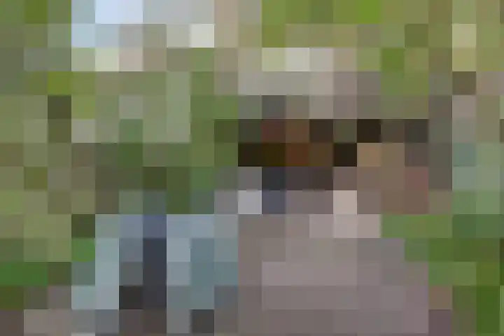 Floresstraat 6 Dordrecht thumbnail 37