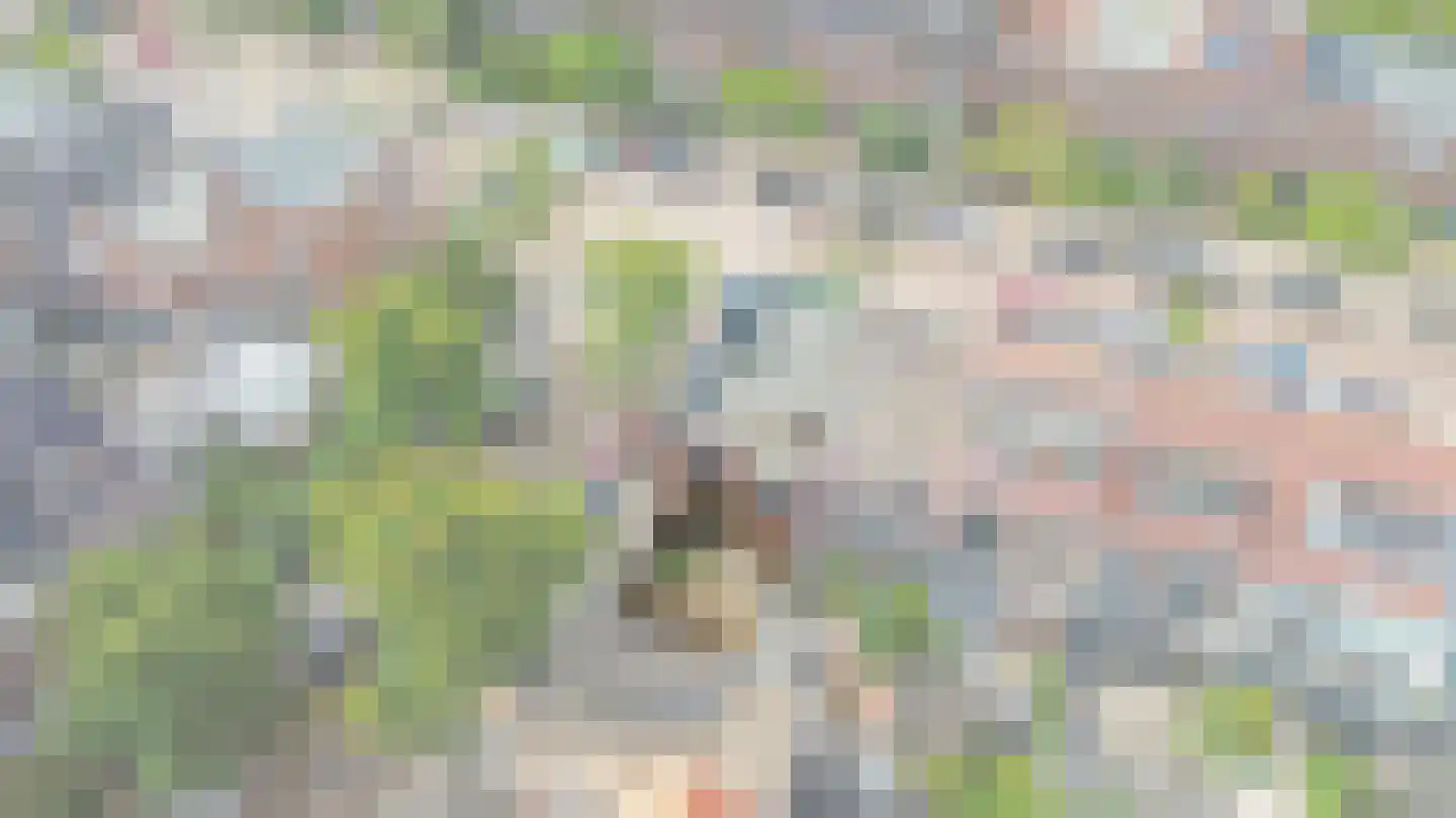 Floresstraat 77 Haarlem thumbnail 34