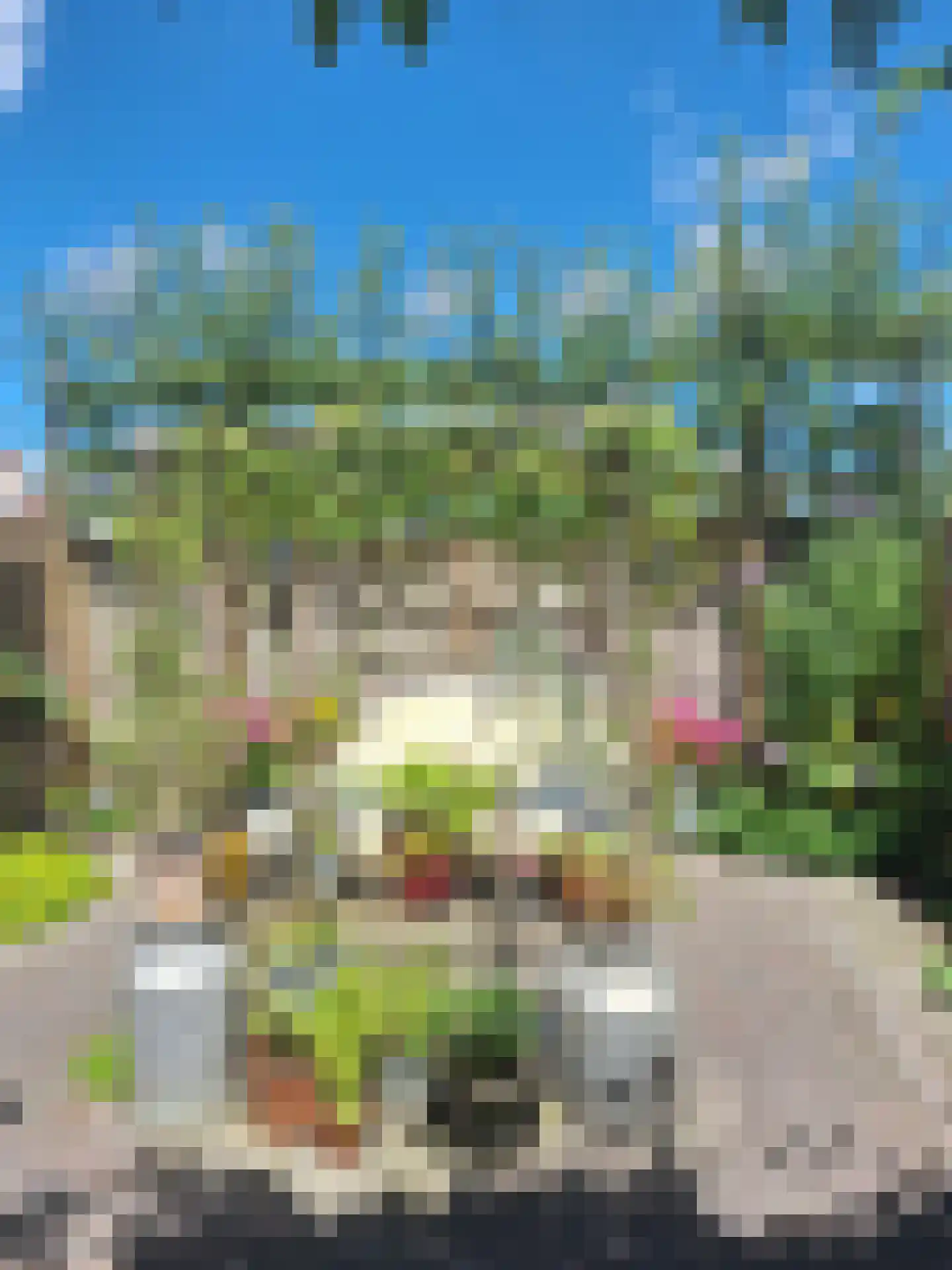 Floresstraat 89 Haarlem thumbnail 15