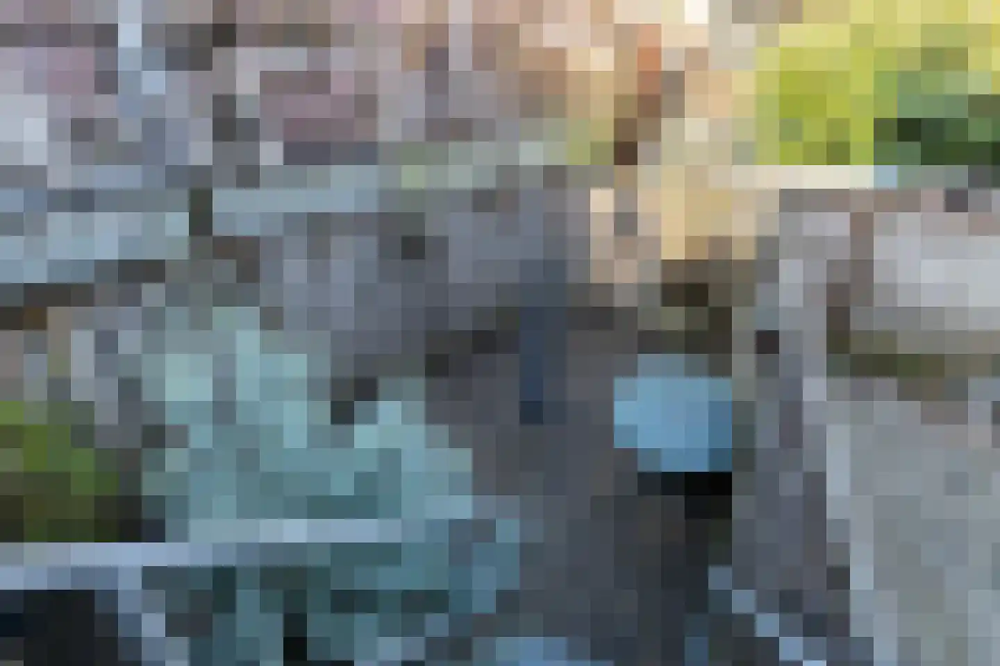Floresstraat 97 Dordrecht thumbnail 4