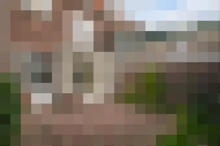 Floresstraat 98 Haarlem thumbnail 11