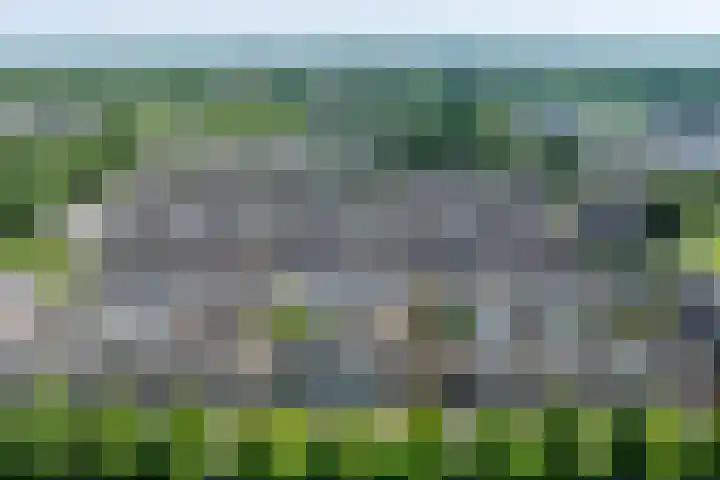 Floretruwe 11 D Maastricht thumbnail 25