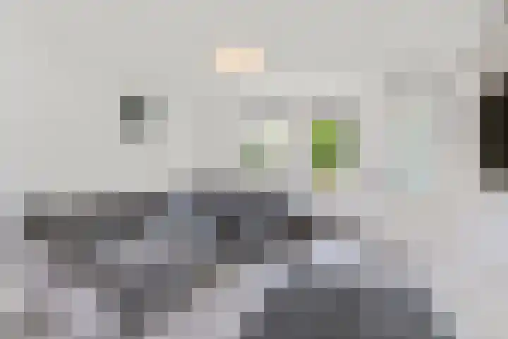 Floretruwe 11 D Maastricht thumbnail 4