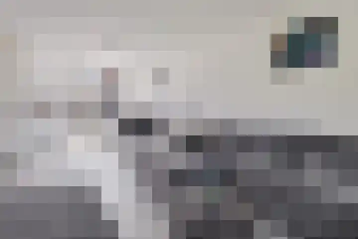 Floretruwe 11 D Maastricht thumbnail 6