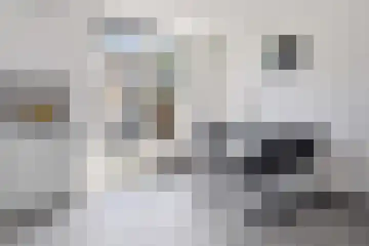 Floretruwe 11 D Maastricht thumbnail 9