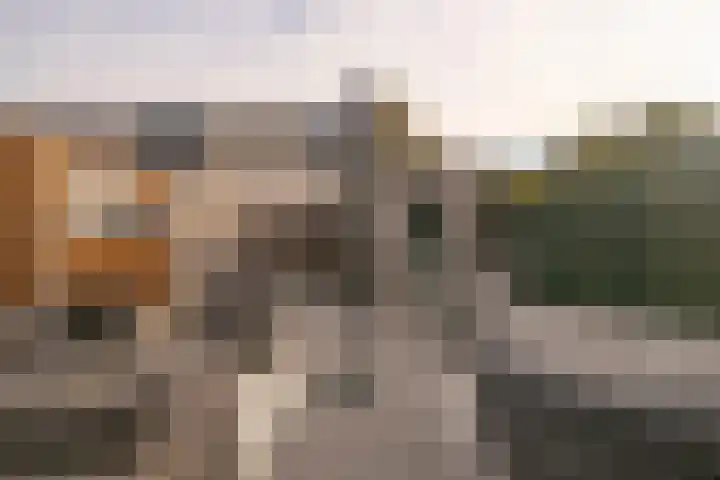 Floretruwe 4 Maastricht thumbnail 19