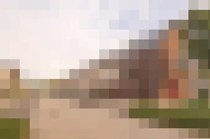 Floretruwe 4 Maastricht thumbnail 20