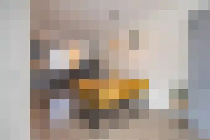 Floretruwe 4 Maastricht thumbnail 5