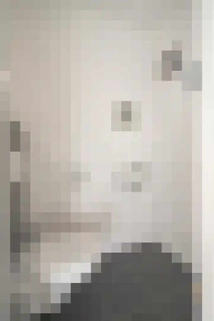 Floretruwe 4 Maastricht thumbnail 8