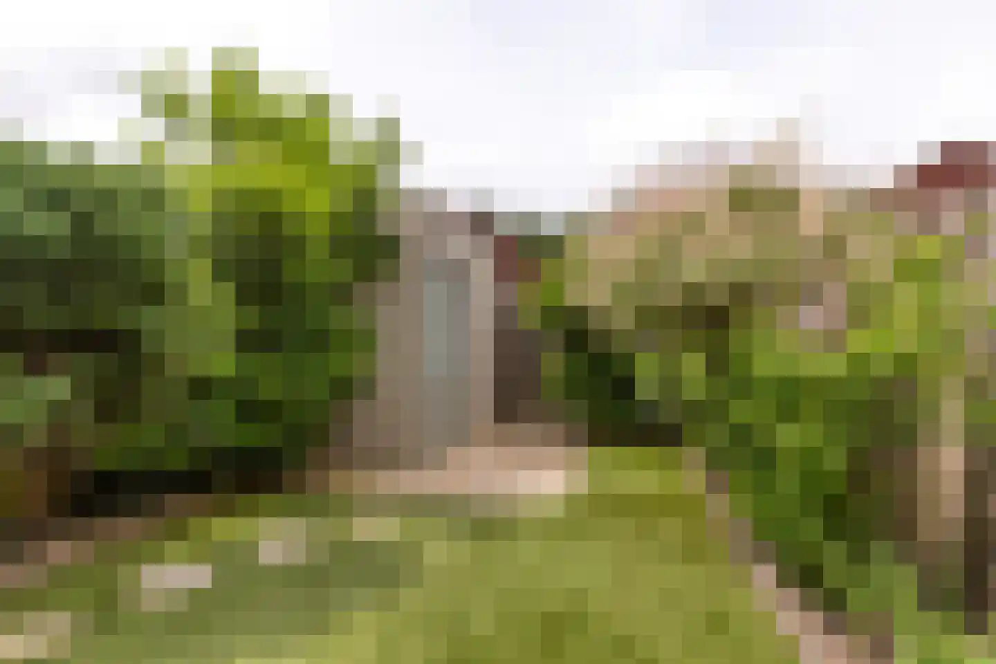 Floriadepark 48 Vijfhuizen thumbnail 15
