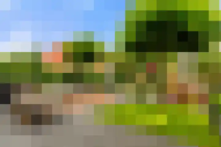 Floriadepark 70 Vijfhuizen thumbnail 30