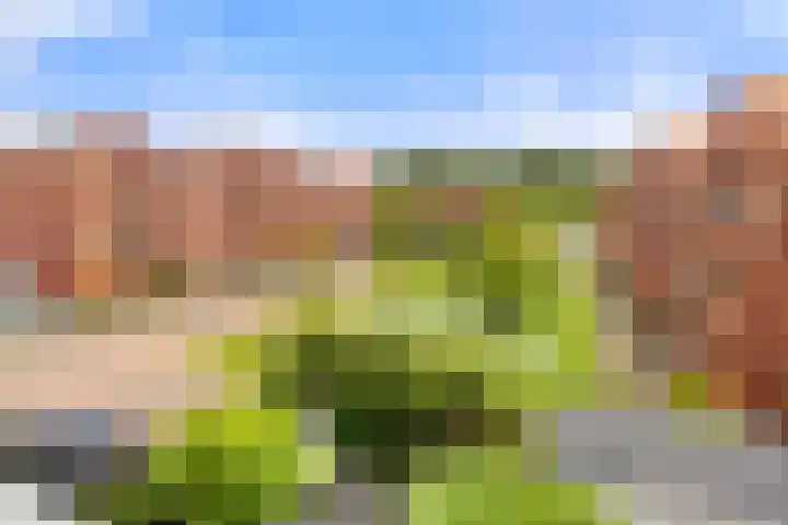 Floriadepark 70 Vijfhuizen thumbnail 69