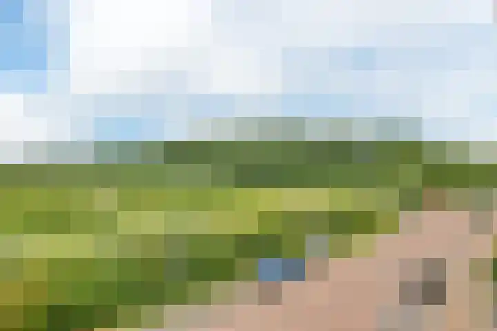 Floriadepark 78 Vijfhuizen thumbnail 33