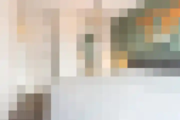 Floridastroom 8 Huizen thumbnail 17