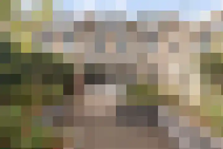 Floridastroom 8 Huizen thumbnail 30
