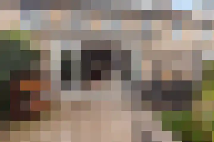 Floridastroom 8 Huizen thumbnail 31