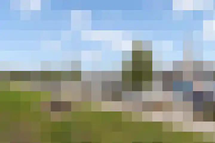 Floridastroom 8 Huizen thumbnail 35