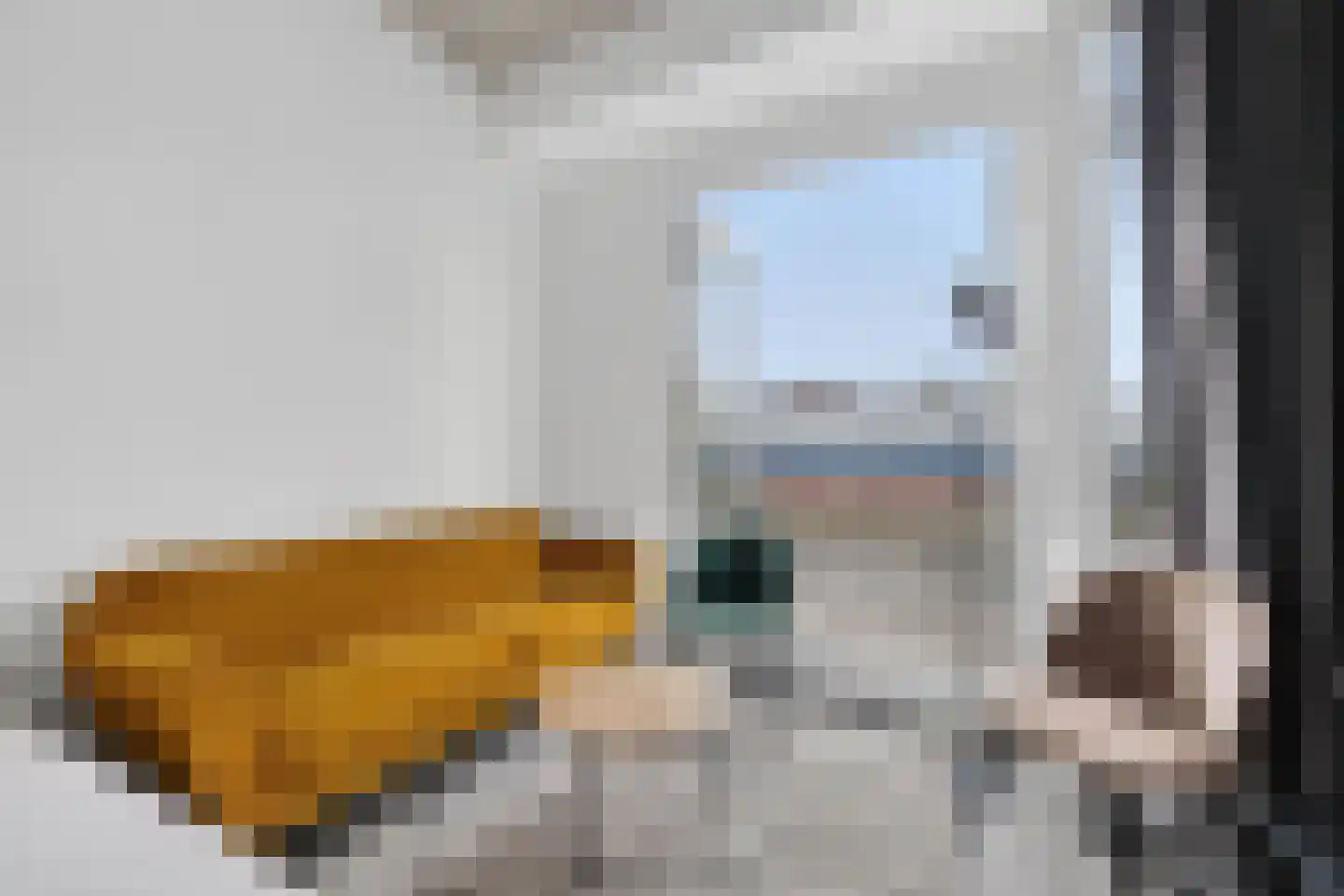 Floridaweg 20 R Capelle aan den IJssel thumbnail 15
