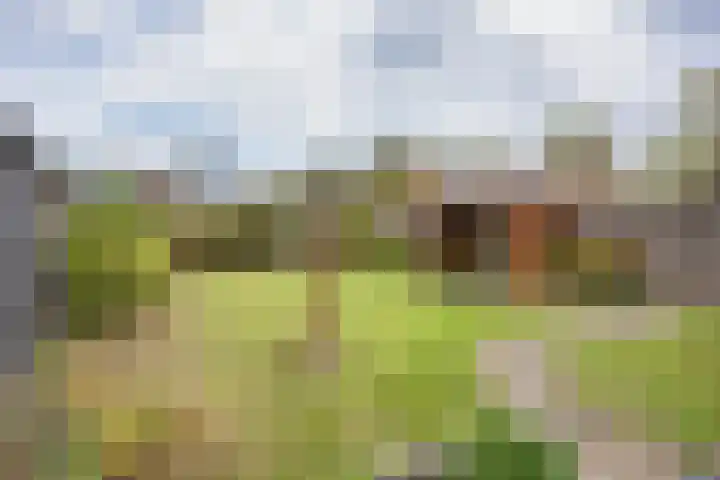 Floridus Campuslaan 26 Bolsward thumbnail 37