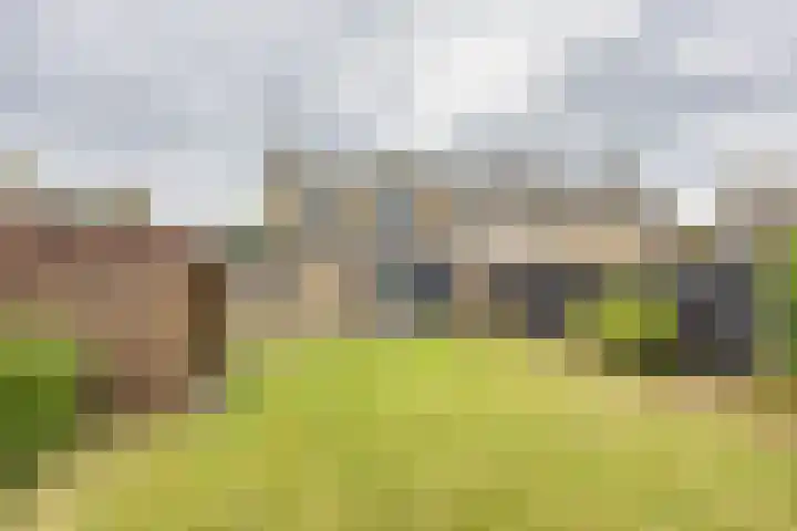 Floridus Campuslaan 26 Bolsward thumbnail 4