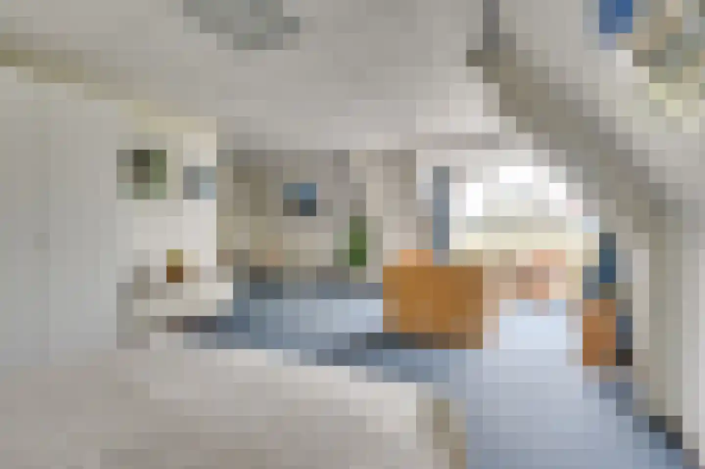 Florijn 1 Boxtel thumbnail 33