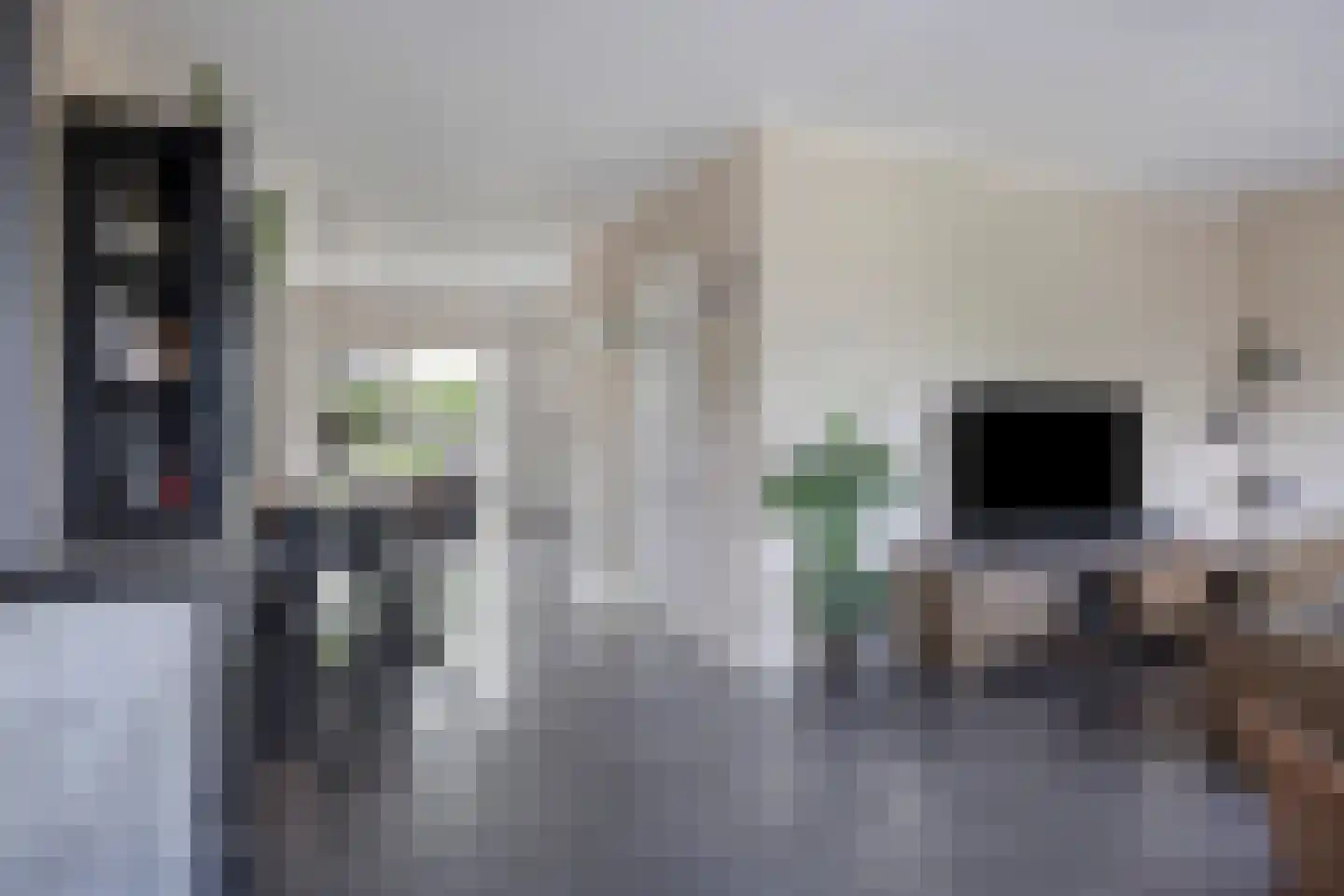 Florijn 1 Dronten thumbnail 12