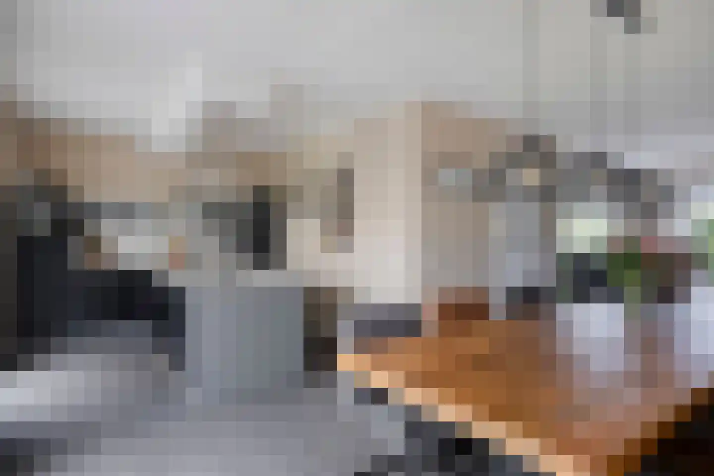 Florijn 1 Dronten thumbnail 16