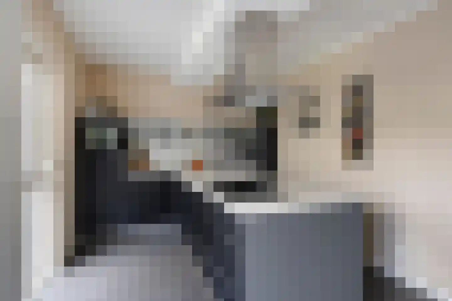 Florijn 1 Dronten thumbnail 17