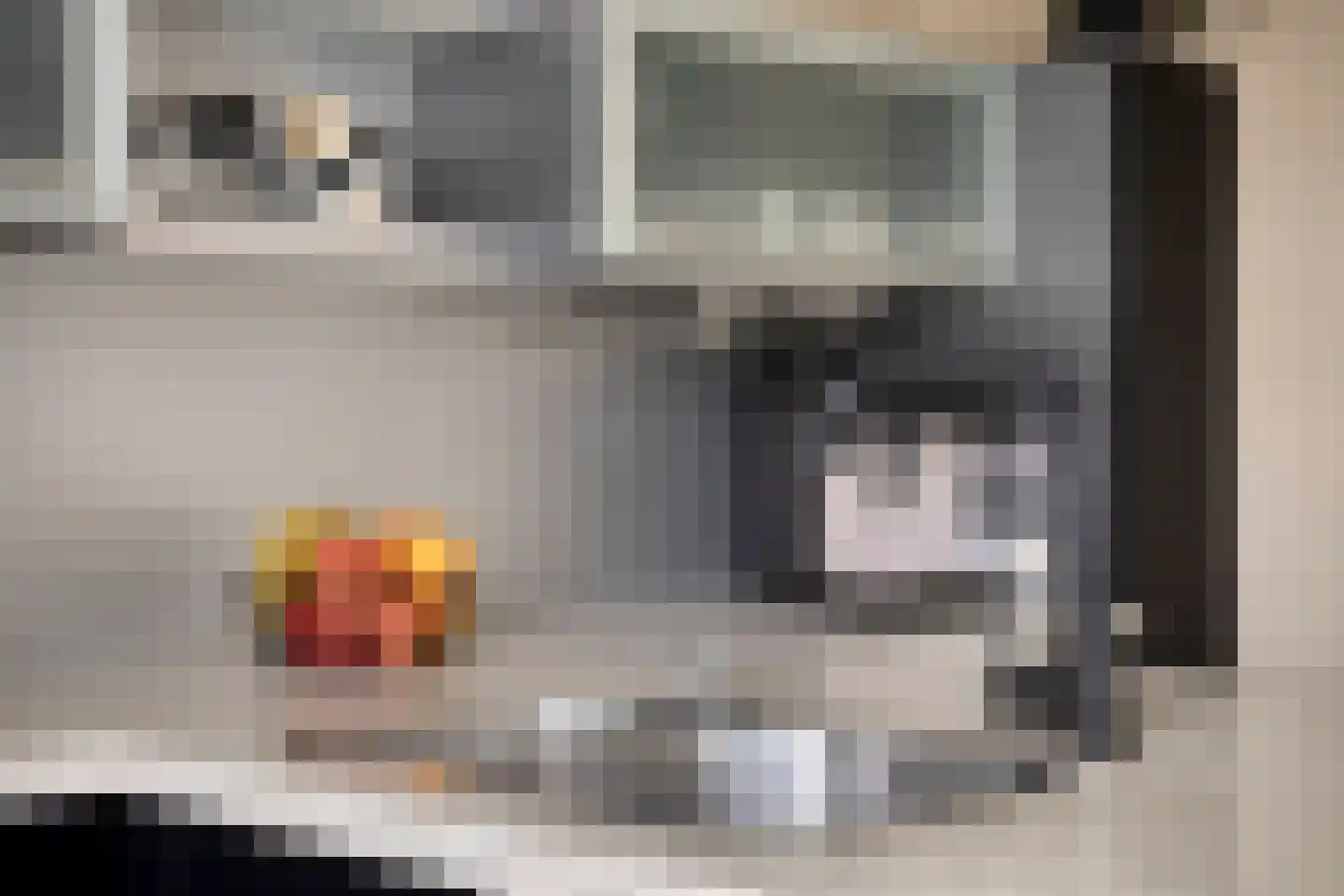 Florijn 1 Dronten thumbnail 19