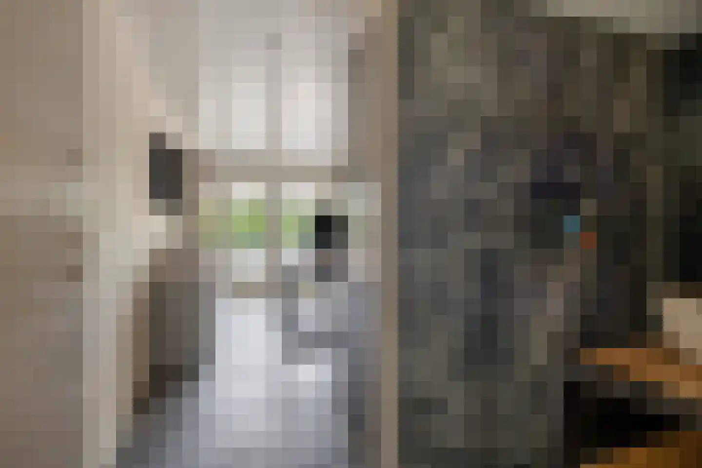 Florijn 1 Dronten thumbnail 23