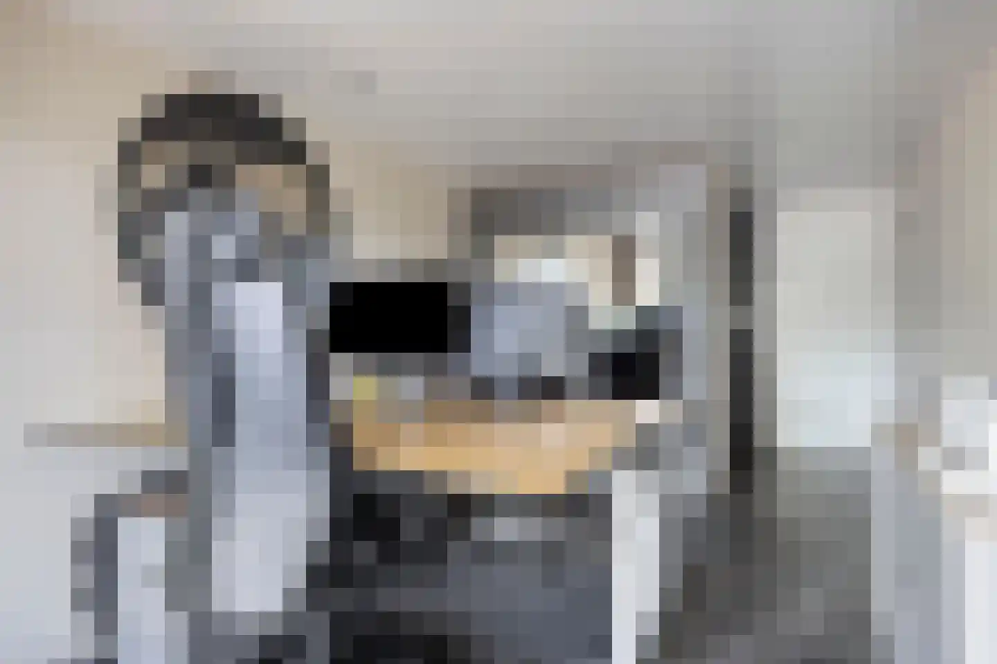 Florijn 1 Dronten thumbnail 26