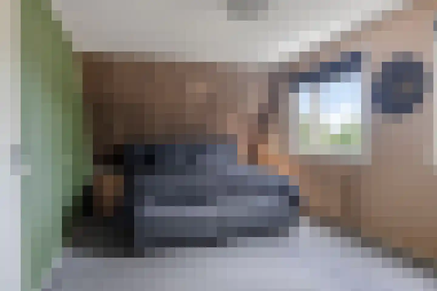 Florijn 1 Dronten thumbnail 28