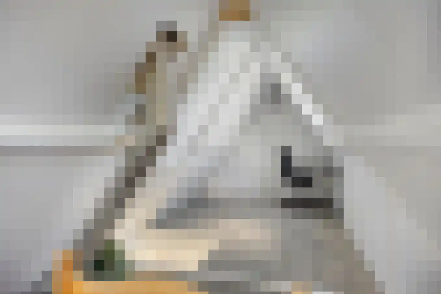 Florijn 1 Dronten thumbnail 36